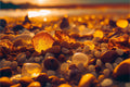 Amber Sunset