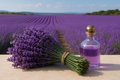 Lavender Fields