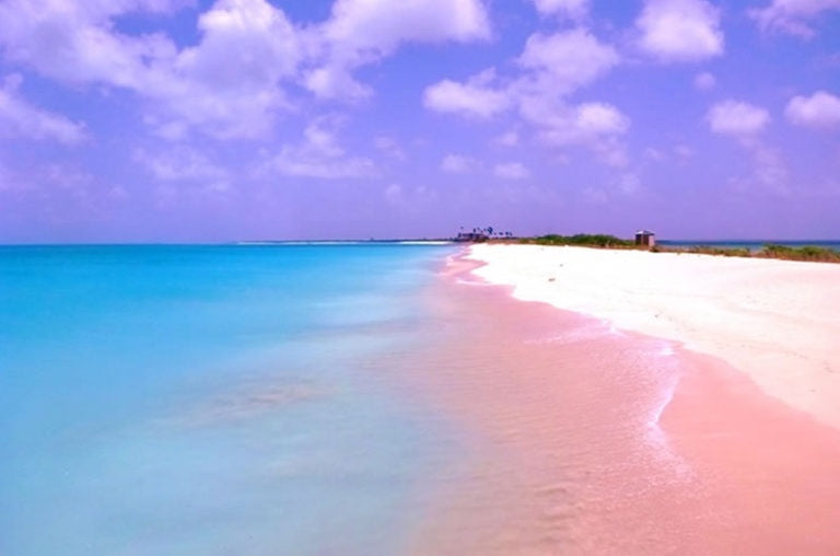 Pink Sands